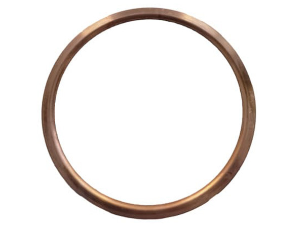 S-20056163 SEALING RING MTU